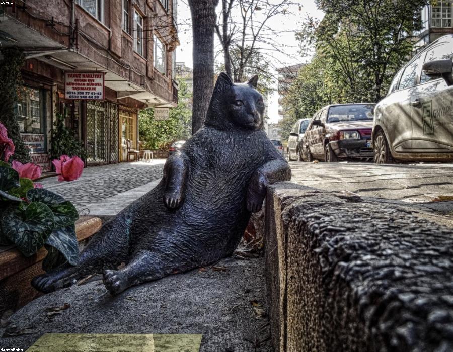 Suplementos naturales