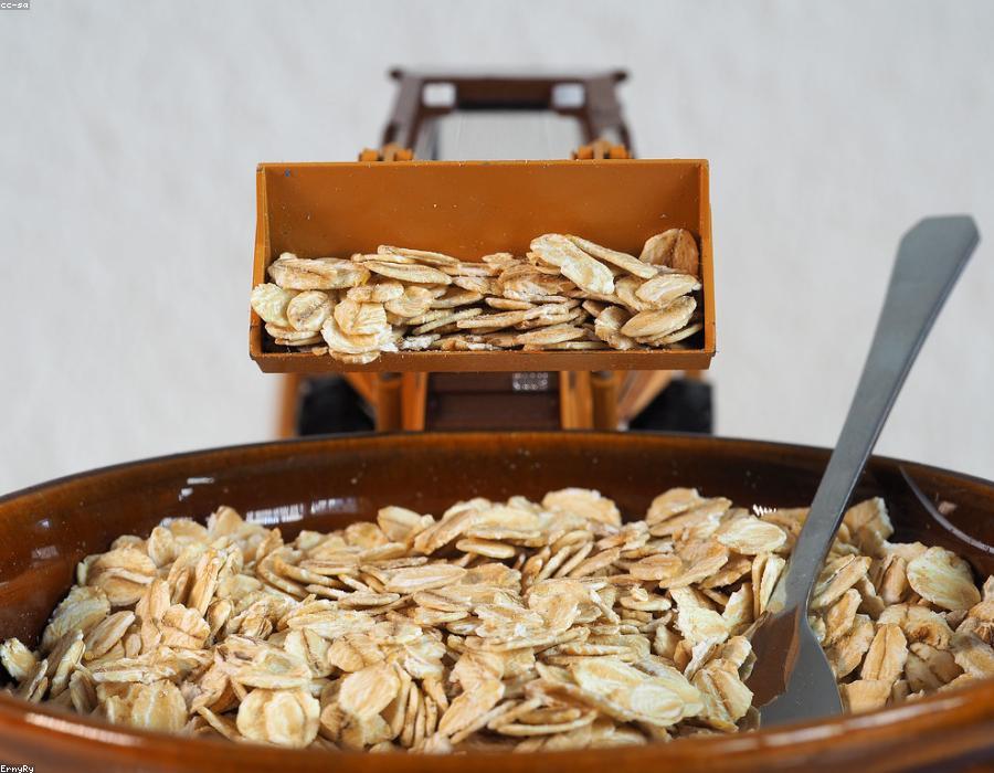 Vitaminas y minerales