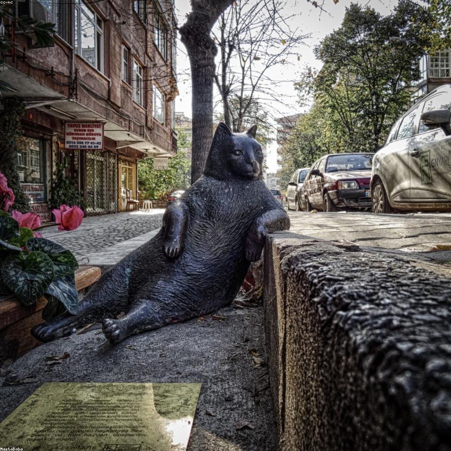 Extracto de Ortiga Natural