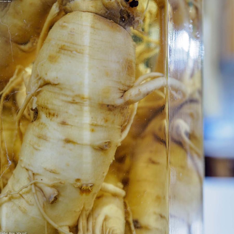 Ginseng Vitality Support